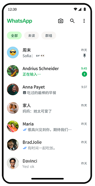 WhatsApp Web 聊天界面