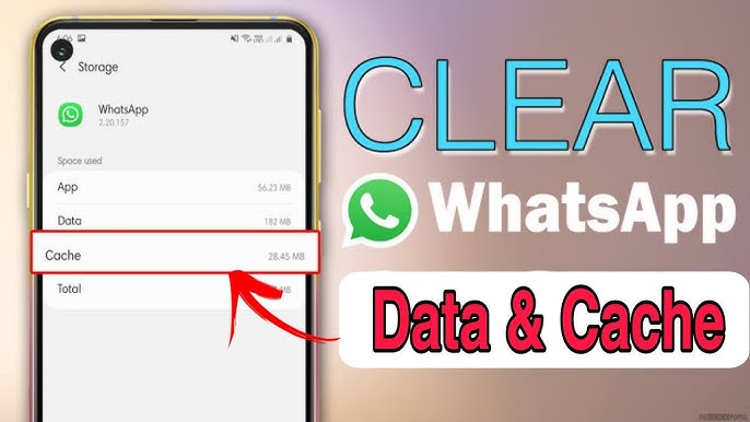 WhatsApp如何清理缓存？