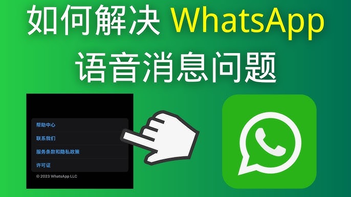 WhatsApp无法发送语音信息？