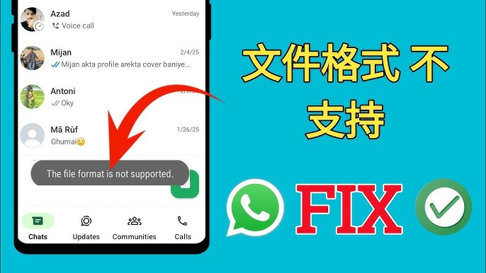 为什么WhatsApp不支持某些文件格式？