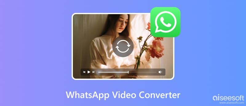 WhatsApp语音视频问题?